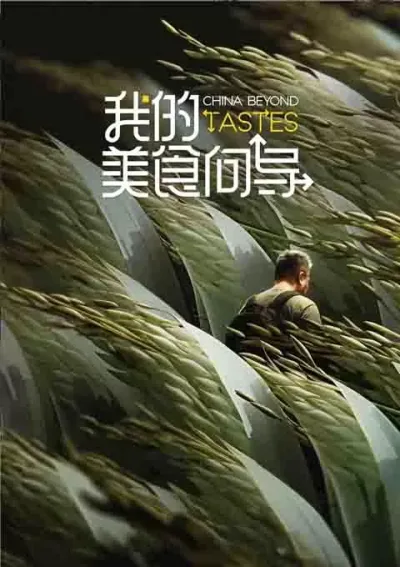我的美食向导