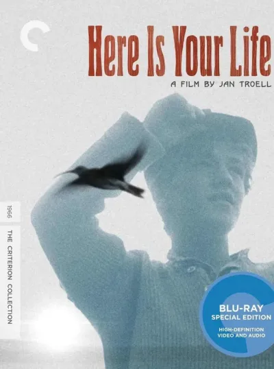 浮生