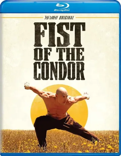 雕形拳