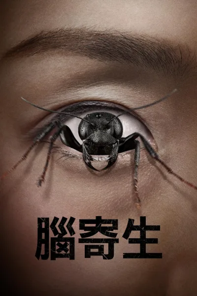 控制狂