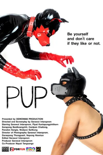 犬奴养成记