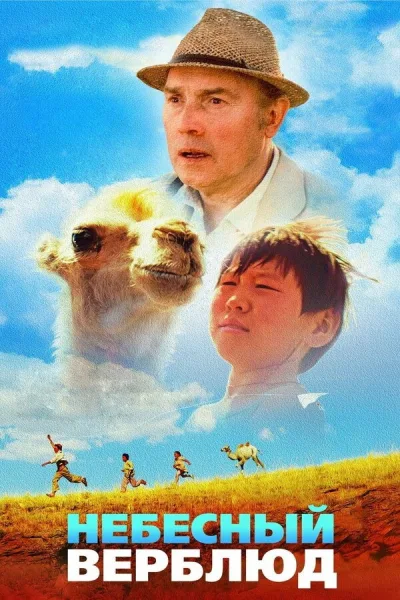 天上的骆驼