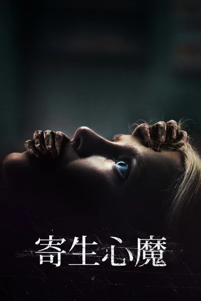附加物