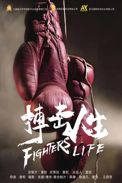 搏击人生