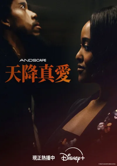 爱情专家