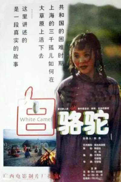 白骆驼
