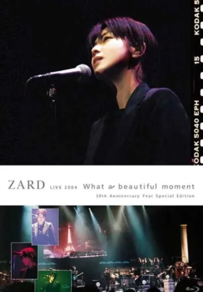 ZARD2004年日本巡回演唱会