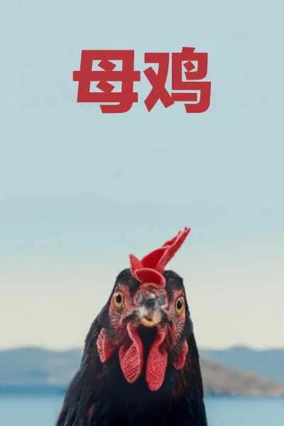 母鸡