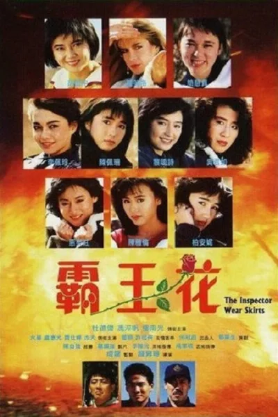 霸王花系列修复【蓝光原盘remux】（系列）