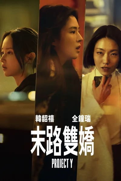 Y计划