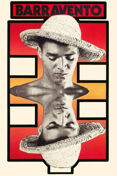 变幻的风