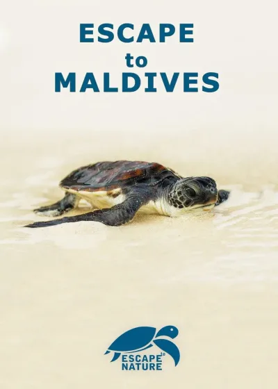 Escape to Maldives