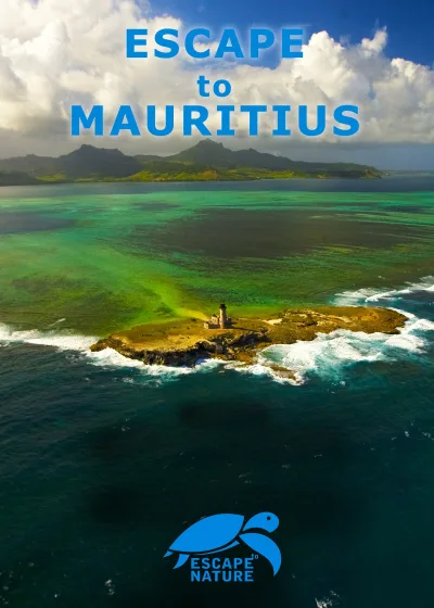 Escape to Mauritius