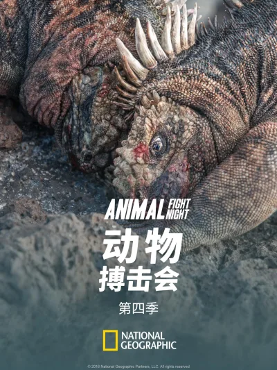 动物搏击会 第 4 季