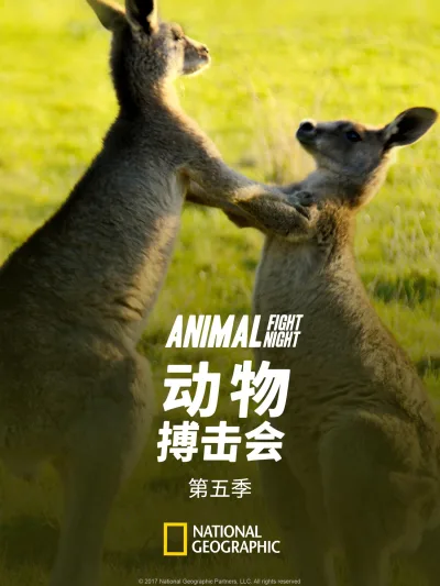 动物搏击会 第 5 季