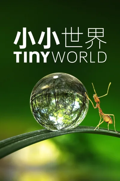 Tiny World 第 1 季