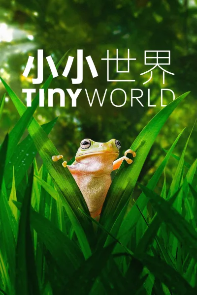 Tiny World 第 2 季