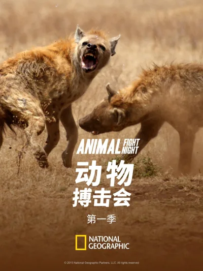 动物搏击会 第 1 季
