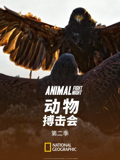 动物搏击会 第 2 季