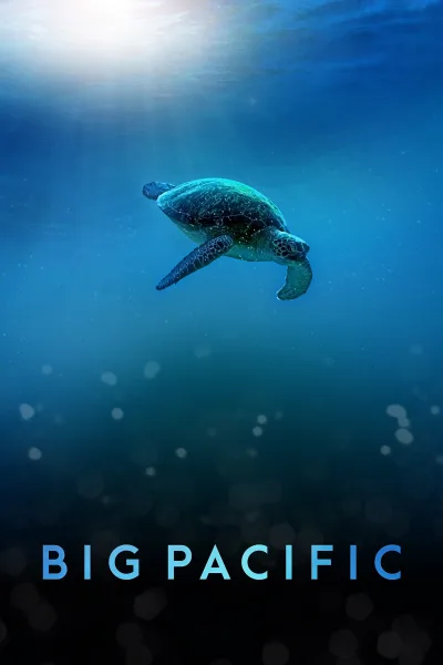 大太平洋 Big Pacific
