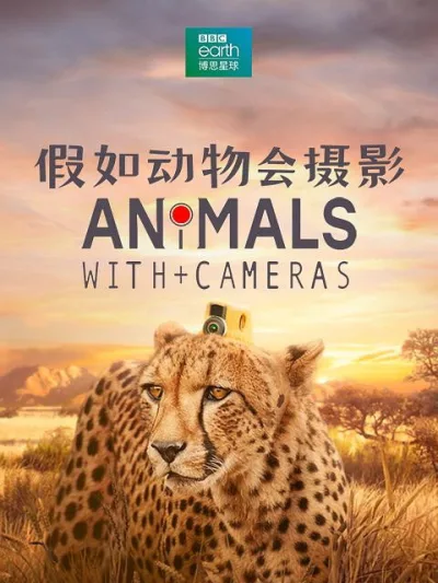 假如动物会摄影 第 1 季