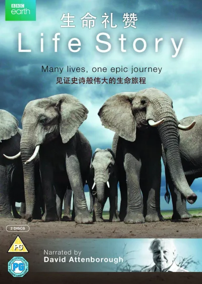 生命故事 第 1 季