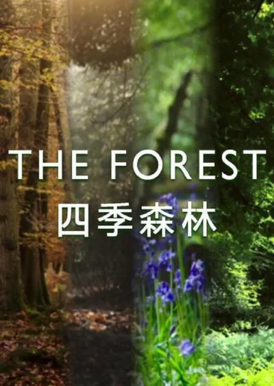 四季森林 Season 1