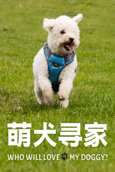 萌犬寻家 第1季