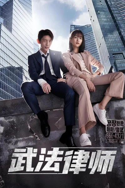 武法律师：第1季