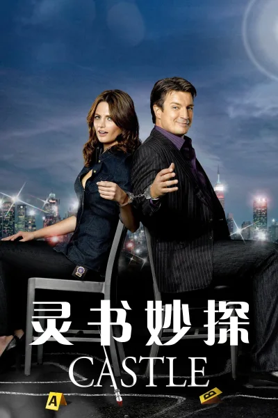 灵书妙探