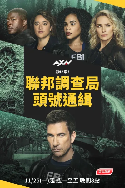 联邦调查局：通缉要犯 第五季