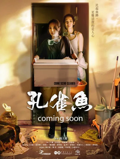 孔雀鱼