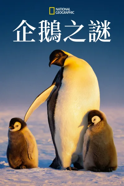 企鹅的秘密