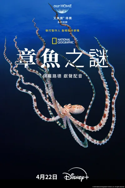 章鱼的秘密