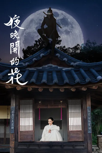 夜晚开的花
