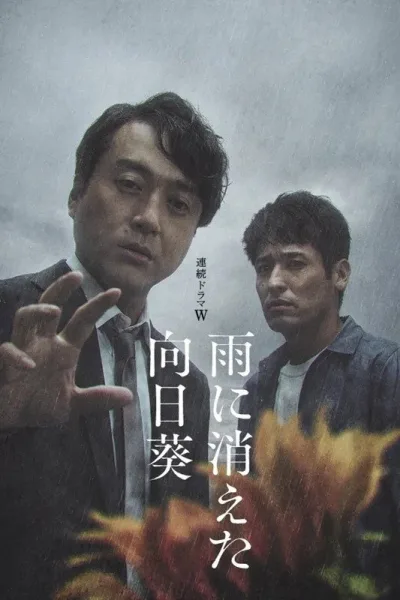 雨中消失的向日葵