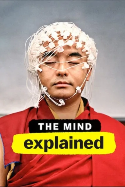 头脑解密 第一季