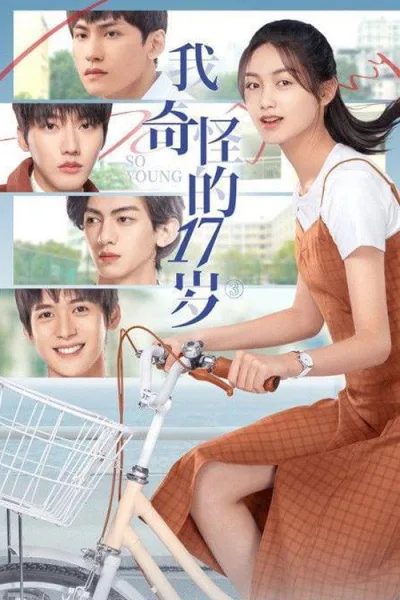 我奇怪的17岁³