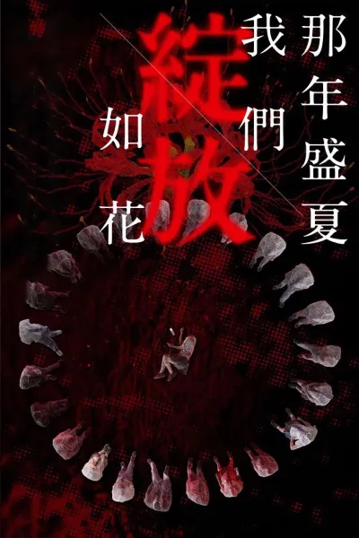 那年盛夏 我们绽放如花