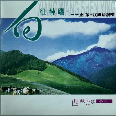 亚东 - 向往神鹰